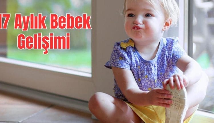 17 Aylık Bebek Gelişimi