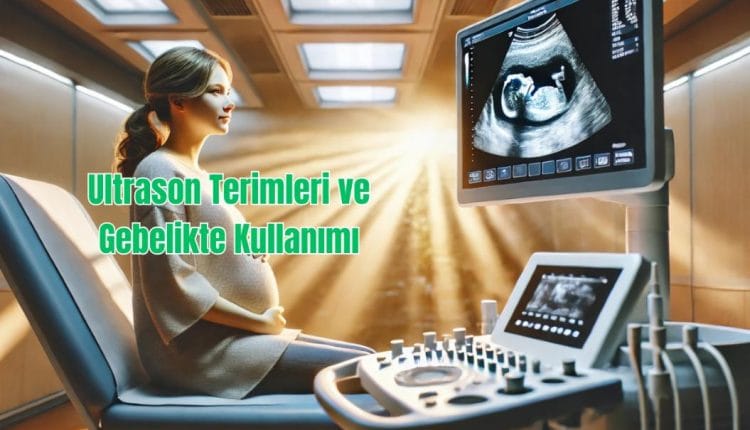 Ultrason Terimleri ve Gebelikte Kullanımı