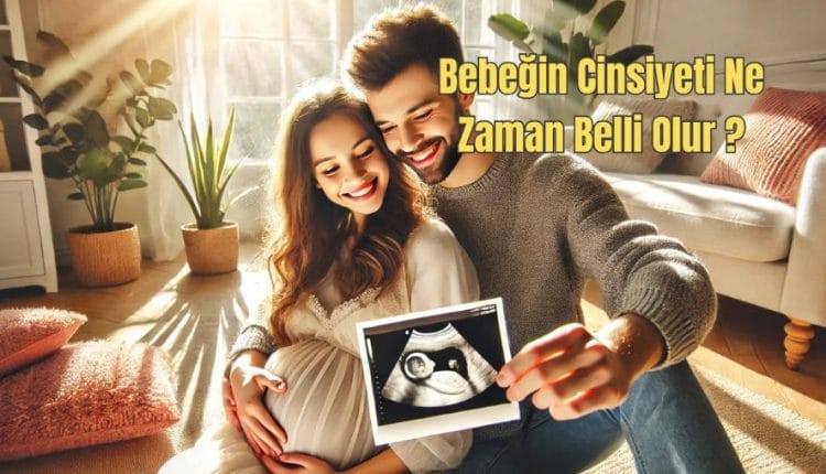 Bebeğin Cinsiyeti Ne Zaman Belli Olur